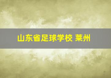 山东省足球学校 莱州